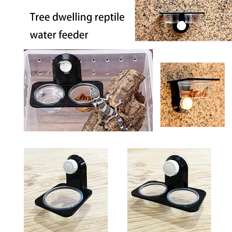 Water Dish Reptile - Aksesori tangki reptil sarang semut laba-laba