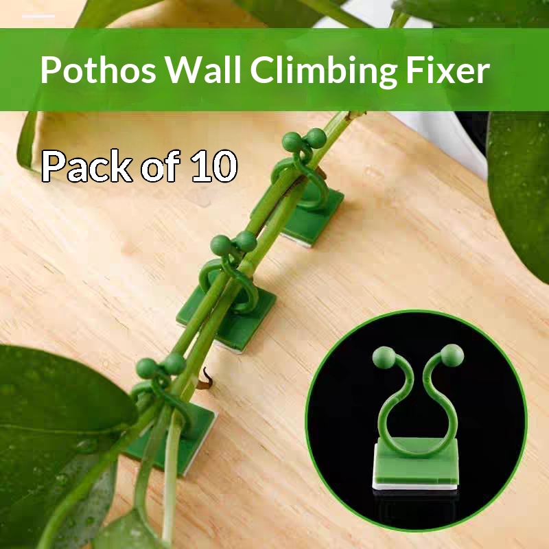 Vine Climbing Plastic - Klip Perekat Tanaman Merambat untuk Dinding,