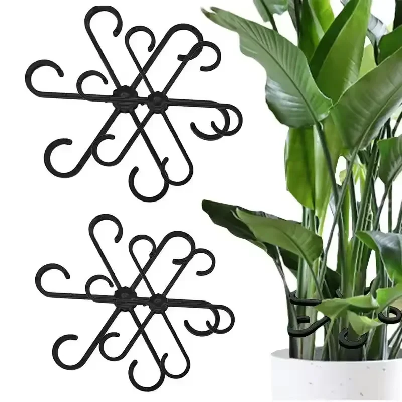 Penyangga Batang Alocasia Mons - Vine Climbing Plastic ulasan dan harga