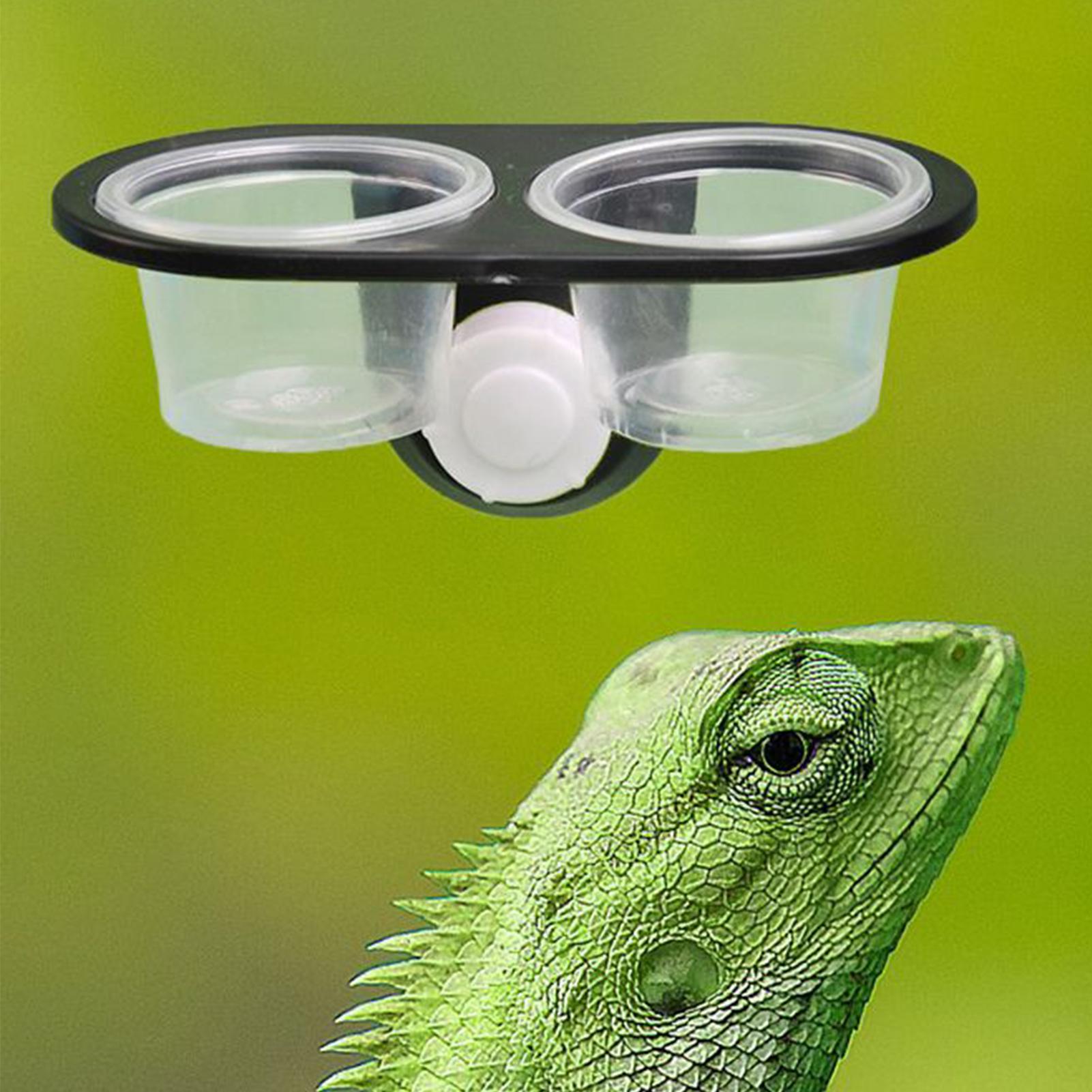 Tempat Makan Gecko, Dispenser  - Water Dish Reptile ulasan dan harga