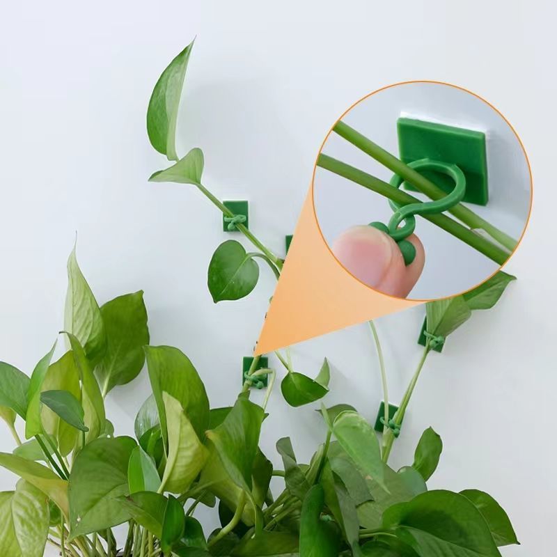 Klip Perekat Tanaman Merambat  - Vine Climbing Plastic ulasan dan harga
