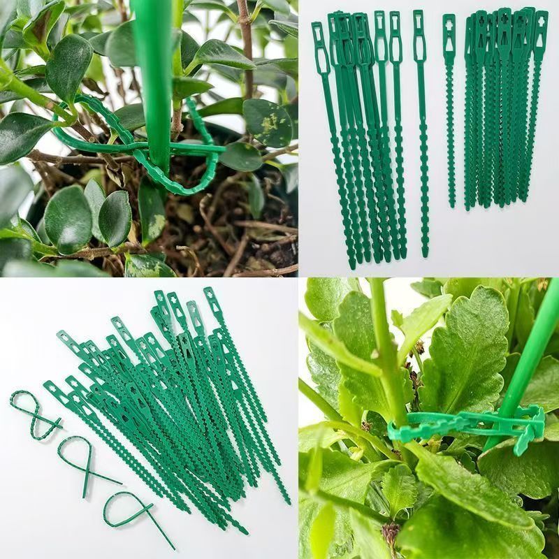 Pengikat Tanaman Hijau yang Da - Vine Climbing Plastic ulasan dan harga