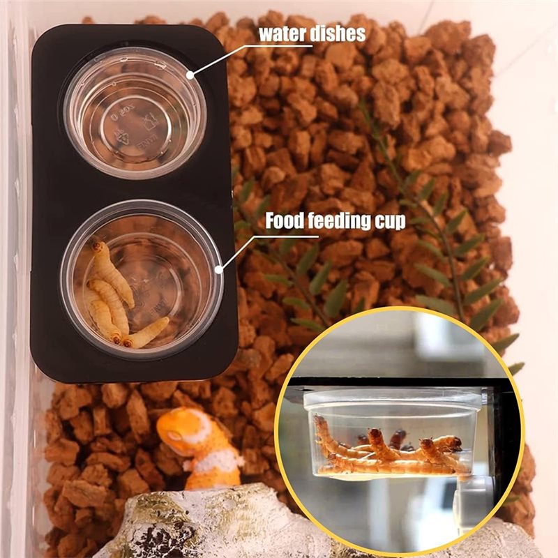 Cangkir Makanan dan Air untuk  - Water Dish Reptile ulasan dan harga